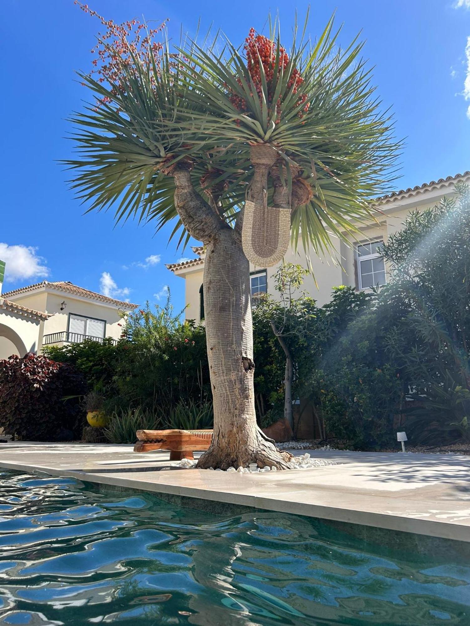 Villa Ibiza - Beautiful House With Private Pool Chayofa Exterior foto